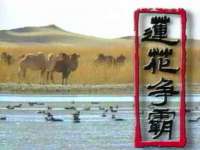 上海申羡网络科技有限公司