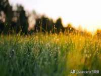 上海申羡网络科技有限公司