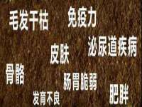 上海申羡网络科技有限公司