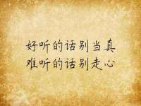 上海申羡网络科技有限公司