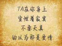 上海申羡网络科技有限公司