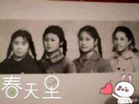 上海申羡网络科技有限公司