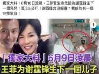 上海申羡网络科技有限公司