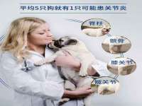 上海申羡网络科技有限公司