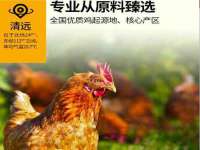 上海申羡网络科技有限公司