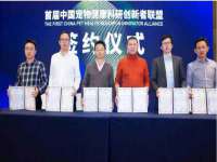 上海申羡网络科技有限公司