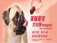 上海申羡网络科技有限公司