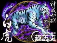 上海申羡网络科技有限公司