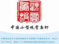 上海申羡网络科技有限公司