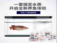 上海申羡网络科技有限公司