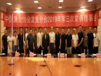 上海申羡网络科技有限公司
