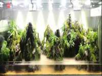 上海申羡网络科技有限公司