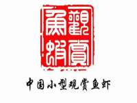 上海申羡网络科技有限公司