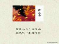 上海申羡网络科技有限公司