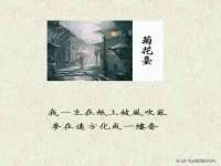 上海申羡网络科技有限公司
