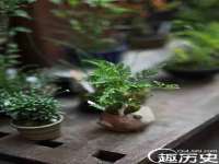 上海申羡网络科技有限公司