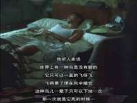 上海申羡网络科技有限公司