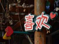 上海申羡网络科技有限公司