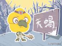 上海申羡网络科技有限公司