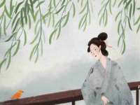 上海申羡网络科技有限公司