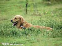 上海申羡网络科技有限公司