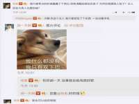 上海申羡网络科技有限公司