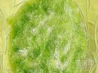 上海申羡网络科技有限公司