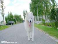 上海申羡网络科技有限公司