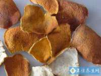 上海申羡网络科技有限公司