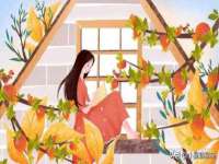上海申羡网络科技有限公司