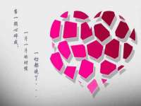 上海申羡网络科技有限公司