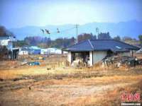 上海申羡网络科技有限公司