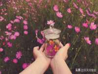 上海申羡网络科技有限公司