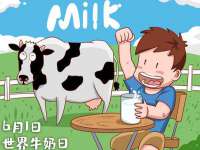 上海申羡网络科技有限公司