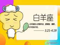 上海申羡网络科技有限公司
