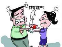 上海申羡网络科技有限公司