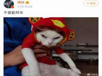 上海申羡网络科技有限公司