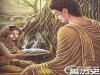 上海申羡网络科技有限公司